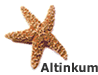 Huis in Altinkum