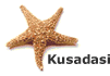 Huis in Kusadasi