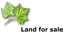 Building Lands in Turkey