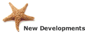 New Developments